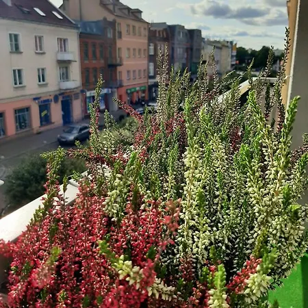 Apartament Centrum Malbork Zewnętrze zdjęcie